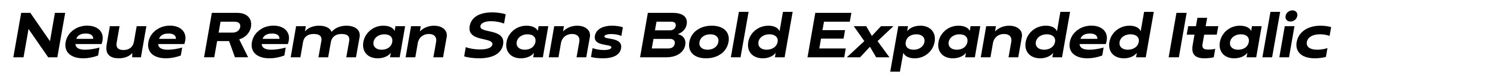 Neue Reman Sans Bold Expanded Italic